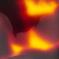 D28 Readers - Image 5
